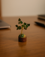 Green jade Tree - 100 beeds