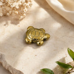 Golden tortoise