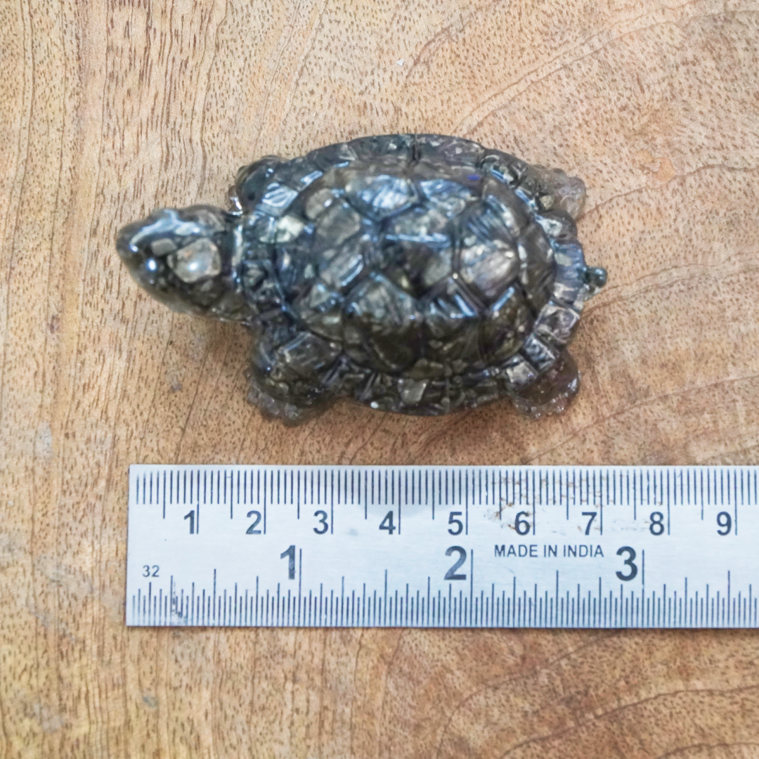 Pyrite kachua (Tortoise)