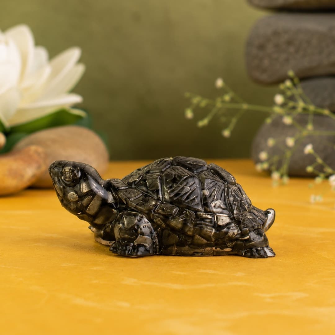 Pyrite kachua (Tortoise)